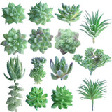 1 x RAW Customer Returns FEPITO 15pcs Artificial Succulents Green Unpotted Faux Flower Succulents Mini Echeveria Picks Bulk Stems for Home Indoor Fairy Garden Decorations - RRP €18.07