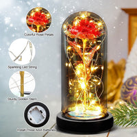 12 x Brand New Punvot Eternal Rose Beauty and the Beast, Gift Ideas for Women, Mom for Original Birthday, Stabilized Glass Dome, with LED - RRP €200.64