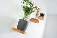 1 x RAW Customer Returns HomeBucket wooden wall shelf round living room decoration modern real wood plants wall mount floating shelf small set of 3 shelves for the wall for a flower pot or a vase beautiful wall decoration light  - RRP €27.22