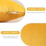 1 x RAW Customer Returns JOTOM velvet cushion cover, sofa cushion, decorative cushion, cushion covers for sofa, living room, bedroom, set of 2, 40 x 60 cm, yellow - RRP €14.11