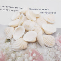 1 x RAW Customer Returns 100pcs Natural Seashells Small White Shells Bulk for Home Decorations Beach Theme Party Candle Making Decor Aquarium Vase Filler Craft DIY - RRP €10.99