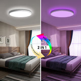 2 x RAW Customer Returns Heyseven LED ceiling light dimmable, Alexa ceiling lamp with remote control, 24W 2400LM RGB color changing LED panel, WiFi app controllable smart lamp for living room, bedroom, children s room - RRP €66.64