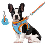 1 x Brand New PETLOFT Harness for Small Dogs, No Pull Small Dog Harness with Leash Choke Free Dog Vest Harness for Small Medium Dogs Pets Supplies Blue, S  - RRP €11.86