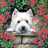 2 x Brand New Pavemlo Diamond Painting Set Accessories Blooming Dog, DIY 5D Diamond Embroidery Painting Kits Animal, Full Drill Crystal Set Rhinestone Embroidery Pictures DIY Diamond Painting for House Wall Decoration 30x30cm - RRP €17.98