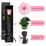 1 x RAW Customer Returns Yamonic Infinity Rose Pink with Stem Birthday Gift for Women, Real Rose Gifts for Women Eternal Rose in Gift Box, Preserved Flower for Valentine s Day, Decorative Gift, Gifts for Mom - RRP €23.99