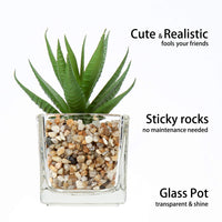 1 x RAW Customer Returns Briful Artificial Plant Artificial Succulent Plant Houseplant Decorative Living Room Bathroom Decorative Plant Succulent Height 8 cm in a Glass Pot Set of 3 - RRP €20.16