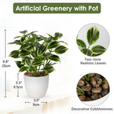 1 x RAW Customer Returns Briful 2PCS Artificial Plant Like Real Artificial Ficus Plants in Pot Small Decorative Plant for Windowsill Living Room Bathroom Decoration - RRP €25.2