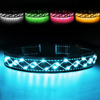 84 x Brand New Luminous dog collar - luminous dog collar - LED flashing light and reflective strips - USB luminous dog collar rechargeable waterproof - adjustable luminous collar - blue... - RRP €1522.92