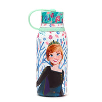 1 x RAW Customer Returns Disney Store Official Frozen 2 The Secret of Arendelle Stainless Steel Water Bottle, 330ml, Printed Bottle with Screw Lid and Carrying Handle - RRP €20.0