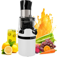 1 x RAW Customer Returns Cold Press Slow Juicer Juice Extractor, 240W Vegetable and Juice Extractor with Reverse Function Cold Blender for Vegetables and Fruits Professional Juice Extractors - RRP €109.08