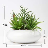 1 x RAW Customer Returns Artificial Plant Artificial Succulent Plant in Ceramic Pot Succulent Arrangement Houseplant for Living Room Balcony Bedroom Bathroom Table Decoration, Height 7 18 cm - RRP €30.24