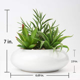 1 x RAW Customer Returns Artificial Plant Artificial Succulent Plant in Ceramic Pot Succulent Arrangement Houseplant for Living Room Balcony Bedroom Bathroom Table Decoration, Height 7 18 cm - RRP €30.24