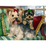 3 x Brand New YSCOLOR Diamond Painting 5D DIY Diamond Painting Cute Dog Embroidery Full Round Diamond Cross Stitch Rhinestone 2019 Decor 30X40cm - RRP €38.97