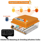1 x RAW Customer Returns Hethya incubator fully automatic hatchery fully automatic incubator chickens for 12-16 eggs, incubator chickens with automatic egg turning and automatic water addition - RRP €59.99