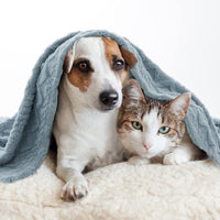 1 x RAW Customer Returns MIULEE Dog Blanket 70x100 cm Cuddly Blanket Dogs Soft Blankets Cats Fleece Blanket Washable Sleeping Pad Suitable for Dogs, Cats, Guinea Pigs and Other Animals Light Blue - RRP €15.49