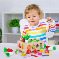 1 x RAW Customer Returns Children s Montessori toys from 1 2 3 years 7-in-1 wooden toy 2 years Plug-in game sorting game wooden puzzle carrot harvest Educational toy gift for girls boys children toddlers - RRP €19.75