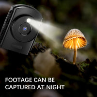 1 x RAW Customer Returns Caupureye Time Lapse Camera for Outdoor Construction Work, Waterproof Time Lapse Camera with Extended Battery Life, Record 1080P Photos and AVI Videos 64GB TF Card  - RRP €151.24