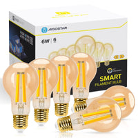 1 x RAW Customer Returns Aigostar Alexa Light Bulb E27 Edison Vintage Light Bulb 6W Retro Light Bulbs LED A60 Smart Lamp WiFi Dimmable 2700K-6500K, App Control Compatible with Alexa and Google Assistant. Amber 6 pieces. - RRP €48.06