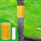 1 x RAW Customer Returns Panngu glue rings self-adhesive 10 meters, yellow boards for caterpillar glue for fruit trees, ant glue ring tree trunk protection, tree glue ring for cherry tree, apple tree, plum tree - RRP €10.98