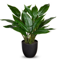 1 x RAW Customer Returns Briful Artificial Plant Like Real Artificial Plant Decorative Plant Calathea Bushy with 22 Leaves in Plastic Pot Houseplant, Height 43cm, Green - RRP €30.24