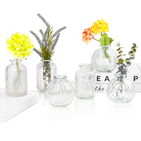 1 x RAW Customer Returns Vases Small Glass EylKoi - Vases Small Table Decoration 6 Pieces Set Clear Various Shapes, Vases Wedding, Table Decoration Mini Small Vases For Table Decoration Small Vases For Home, Events Table, 4  - RRP €42.1