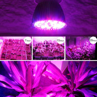 1 x RAW Customer Returns Zerodis LED Grow Light Bulb 5W E27 High Power Panel Full Spectrum LED Greenhouse Hydroponic Vegetable Potted Flower Plant Grow Light Bulb Indoor Growing Lamp - RRP €10.6