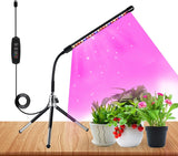 1 x RAW Customer Returns Plant Light with Stand for Indoor Plants, Grow Light Full Spectrum with 3 9 12H Auto Timer, 10 Dimmable Levels, Desk Plant Lamp for Greenhouse, Succulents No Adapter  - RRP €16.72