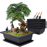 1 x RAW Customer Returns MissFox Set of 6 Plastic Plant Pots with Saucer, Large Rectangular Bonsai Pot with Garden Tools, Indoor and Outdoor Garden Flower Pots, 16x12x6cm - RRP €22.9