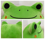 4 x Brand New SPIRTUDE 2PCS Frog Plush Toy Frog Cuddly Toy with Keychain Gifts for Girls Boys Frog 20cm  - RRP €64.88