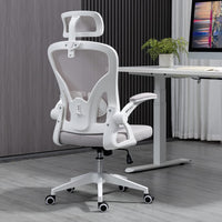 1 x RAW Customer Returns Ahua Ergonomic Mesh Office Chair, Lumbar Support with Foldable and Adjustable Arms, Easy to Store, Breathable Mesh Backrest, Comfortable Cushion, Silent Wheels for Model CY-8013-GW - RRP €139.99