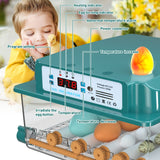 1 x RAW Customer Returns Fully automatic incubator chicken incubator chickens with automatic rotation system and temperature control, egg incubator hatching machine for 12-16 eggs 16  - RRP €78.65