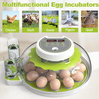 1 x RAW Customer Returns DETODDA fully automatic incubator, incubator for chickens with LED lighting, fully automatic incubator with temperature and humidity control, automatic egg turner green 18 eggs  - RRP €98.81