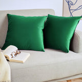 5 x Brand New Blumtal Set of 2 Sofa Cushion Covers 45x45 cm in Velvet, with Invisible Zipper, Elegant Sofa Cushion Covers in Soft Velvet, Size 45 x 45, Nature Green - RRP €69.95