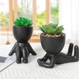 1 x RAW Customer Returns Dremisland 2 Pack Artificial Plant with Black Ceramic Pot Artificial Succulents Mini Fake Plants Fake Succulent Decorative Plants for Bathroom Aesthetic Shelf Table Decoration Bookshelf - RRP €21.99