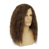 1 x RAW Customer Returns Long Brown Wig for Men, Long Wavy Wig for Men Middle Part Synthetic Heat Resistant Hair Wigs for Daily Party Costume Halloween - RRP €25.2