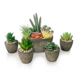 2 x RAW Customer Returns Vasemouh Artificial Plants Succulents Set of 5, Realistic Imitation Succulent Plant Pots for Home Office Desk Decoration - RRP €44.98