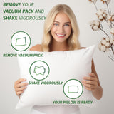 1 x RAW Customer Returns Flowen Pillow 30x50 Pillow Set of 2 Decorative Pillows for Bed and Sofa Inner Cushion Hypoallergenic Sofa Cushions Anti-Mite Soft Decorative Pillows with Pillowcase Microfiber Removable and Machine Washable - RRP €16.45