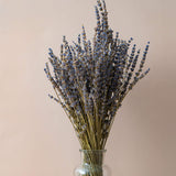 1 x RAW Customer Returns CoolCrafts Dried Lavender Bundle 100 Stems Dried Lavender Bouquet Decoration - RRP €13.87