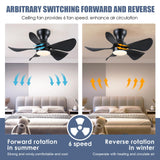 1 x RAW Customer Returns Mpayel Ceiling Fans with Lighting Black - 76cm Small Ceiling Fan with Light and Remote Control, Dimmable, Low Profile Ceiling Fan with 5 ABS Blades for the Bedroom - RRP €99.99