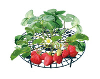 1 x RAW Customer Returns UPP strawberry ripener set Adjustable fruit ripener made of plastic Trellis for strawberries, vegetables flowers Natural snail protection Strawberry grids protect against rot mold 5 pcs.  - RRP €16.94