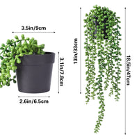 1 x RAW Customer Returns FUNARTY Artificial Plants Indoor, Faux Pearl String of Pearls in Black Pots, Realistic Green Hanging Plants for Shelf Desk Home Garden Decoration, 2 Pack - RRP €19.15