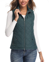 1 x RAW Customer Returns LONGKING Women s Vest Lightweight Stand-Up Collar Vest Quilted Vest with Zipper Sleeveless Tops Coat Jacket Outdoor Green XS - RRP €26.21