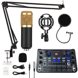 1 x RAW Customer Returns RUBEHOOW Mixer Kit Live Sound Card DJ Controller Interface, with BM800 Microphone for Live, Recording, PC, Karaoke and Game Voice - RRP €80.11