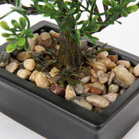 1 x RAW Customer Returns Artificial Bonsai Lifelike Artificial Plant Artificial Tree Bonsai Cedar Pine Podocarpus Plastic Plant Artificial Plant with Ceramic Planter in Black for Bathroom Decoration Desktop Office Windowsill - RRP €18.67