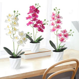 1 x RAW Customer Returns Dremisland Set of 3 Artificial Flowers Butterfly Orchid with Leaves Artificial Flowers in Pot 38cm White Pink Artificial Orchid Phalaenopsis Artificial Plant Wedding Table Decoration Silk Flower Real Touch Blossom - RRP €28.22