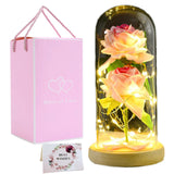 1 x RAW Customer Returns PPLONG-GE Roses Beauty and Animal Rose Set in Glass Dome LED Lights Artificial Flowers Rose Mother Gifts for Mom Gift for Grandma Women Birthday Valentine s Day Mother s Day Wedding We - RRP €21.17