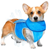 1 x Brand New Dog Cooling Vest Summer Jacket and Bandana Collar Set for Small Dogs Adjustable Cooling Coat and Breathable Neck Scarf for Puppies Pets, Blue S  - RRP €18.0