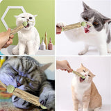 21 x Brand New Shengruili 4 pieces catnip sticks, cat sticks for teeth cleaning, chewing sticks for cats, matatabi stick cat, cat dental care toy, chewing sticks set, cat sticks, cat chewing toy - RRP €428.4