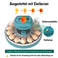 1 x RAW Customer Returns Hethya Automatic Egg Incubator, Automatic Humidity Temperature Control, Automatic Egg Turning, 15 Egg Incubator - RRP €69.8