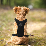 1 x Brand New Dog harness for dogs, control handle for dogs Dog harness with front and back 2 leash attachments and soft padded connected with seat belt buckle - RRP €20.4